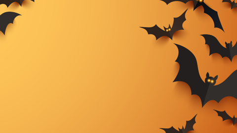 Animationsverkstad på Kulturskolan