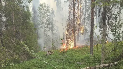 Information om pågående skogsbrand i Jokkmokks kommun