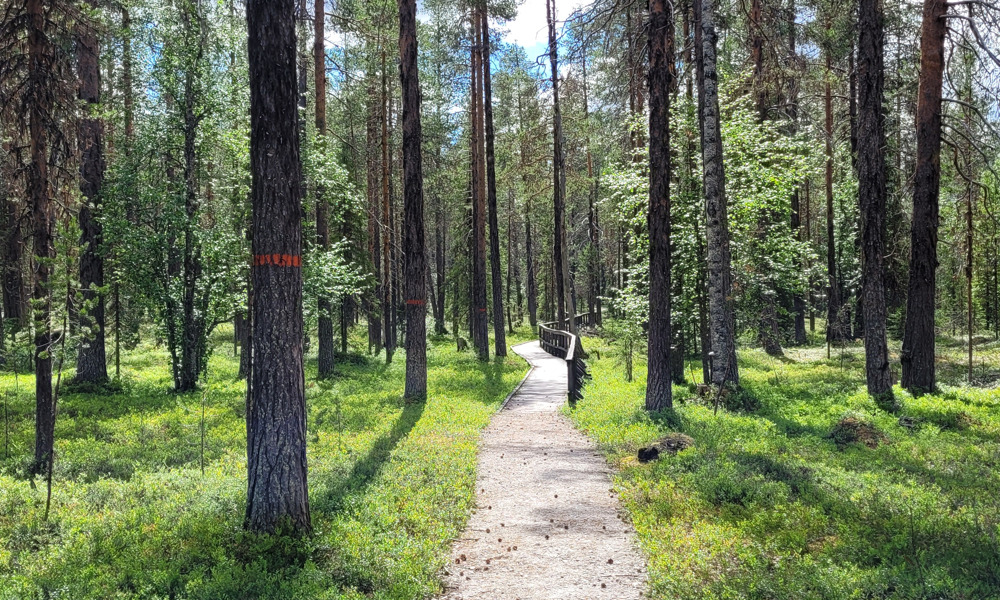 sierre naturreservat