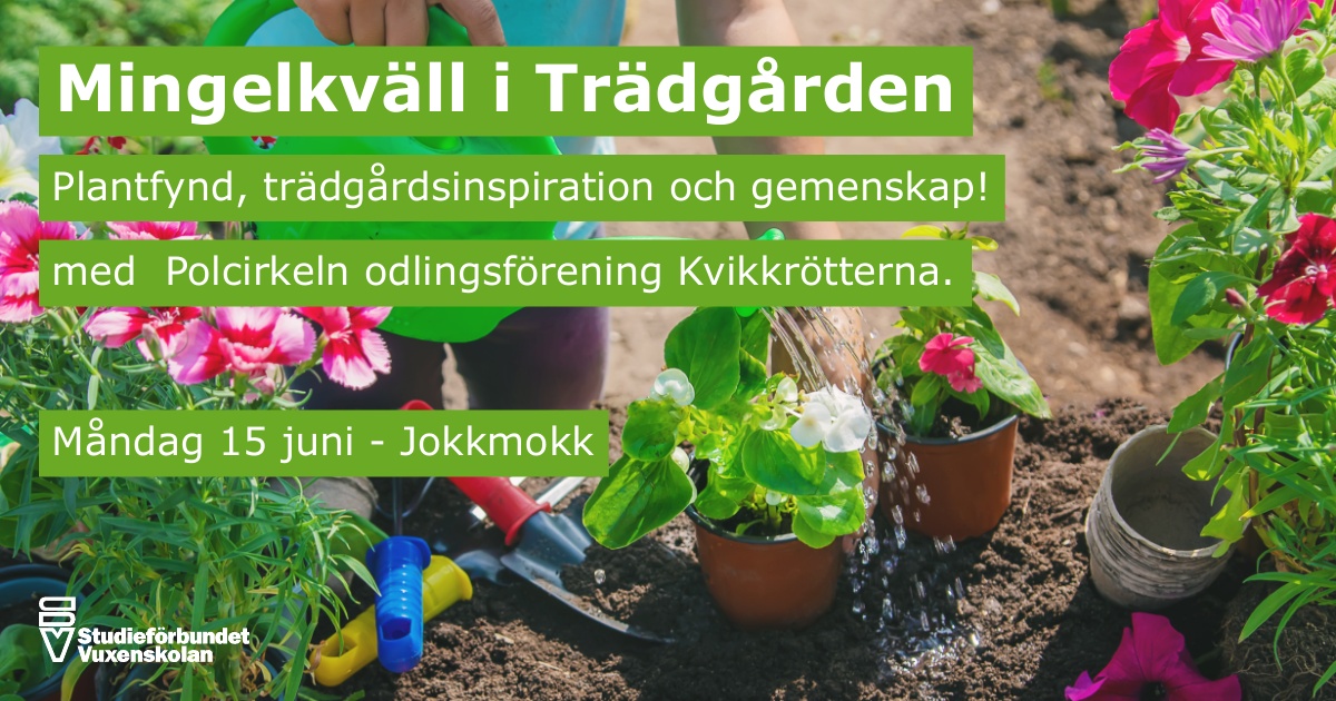 Mingelkväll i trädgården