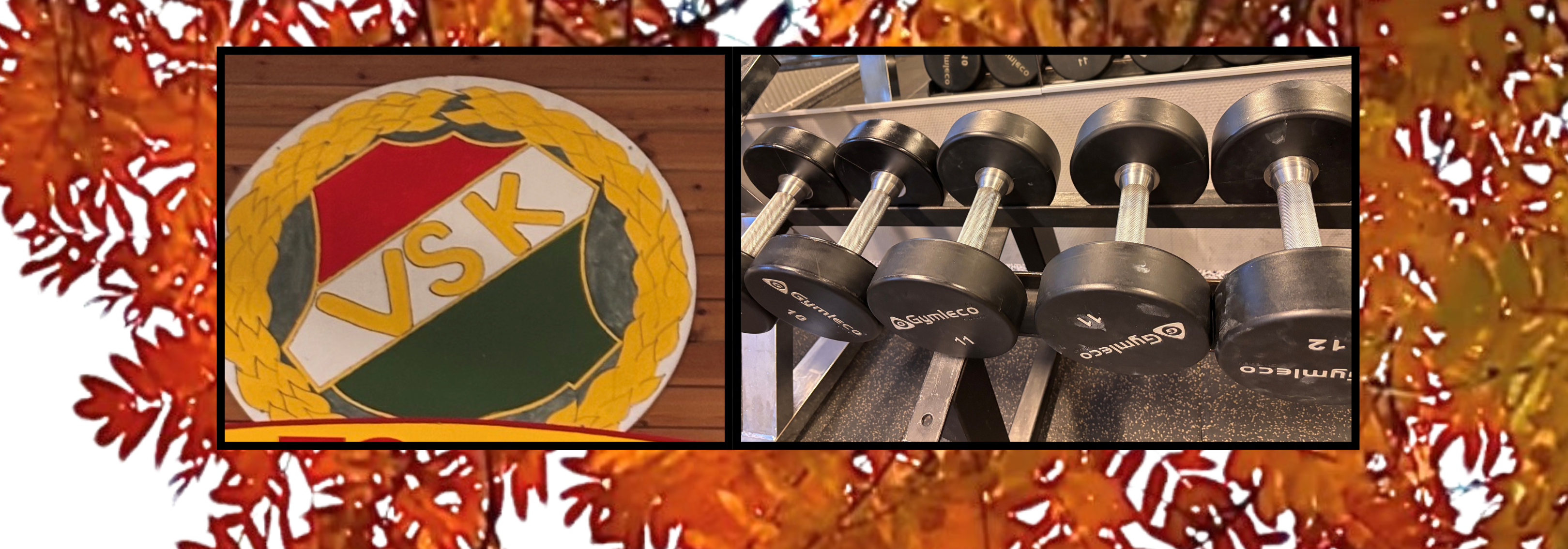 Gym-intro Rimhallens gym