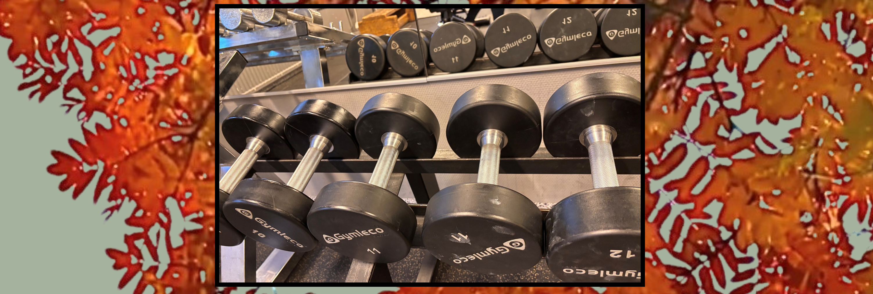 Gym intro - kom igång med gymträningen!