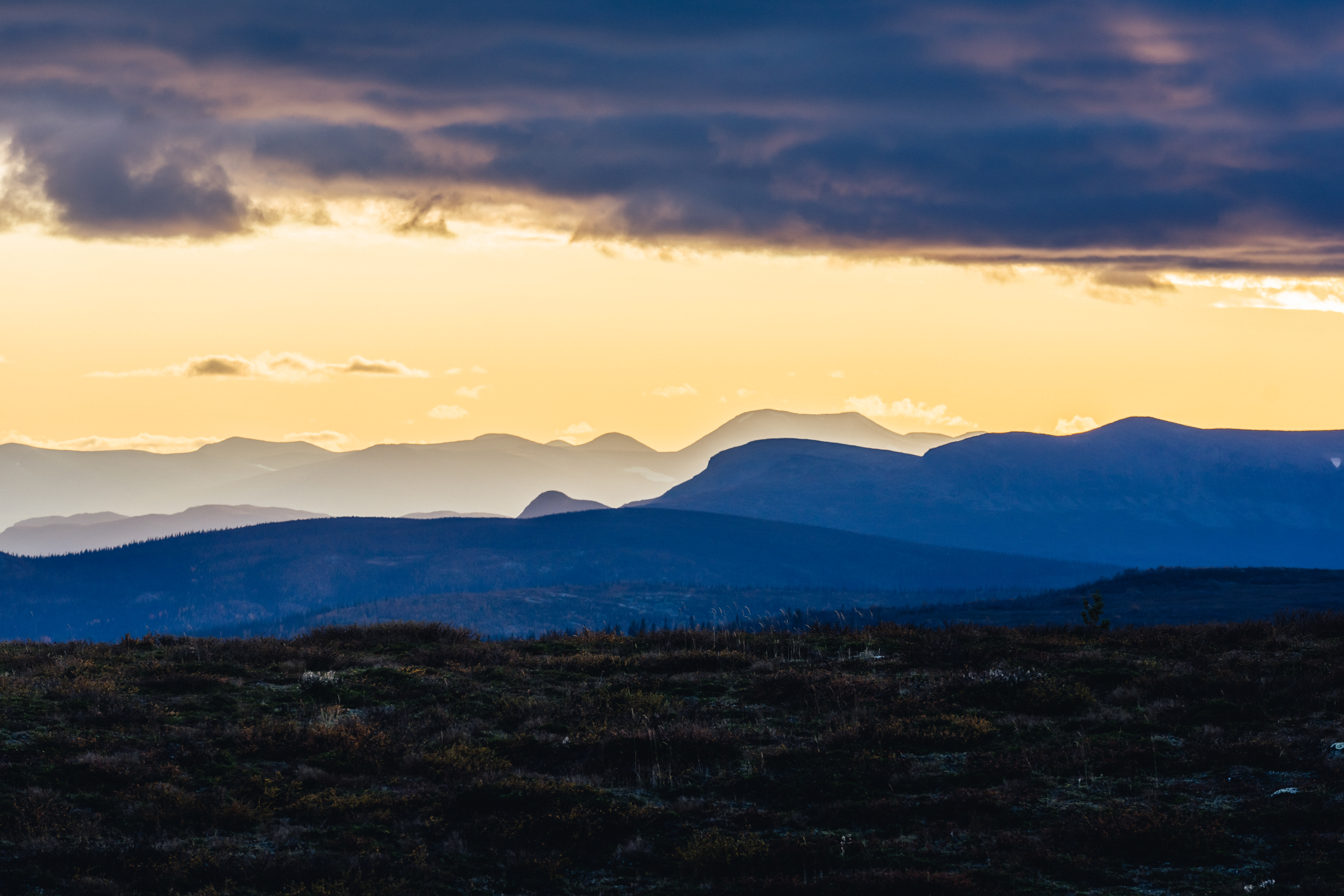 Vi är Jokkmokk: frågor och svar