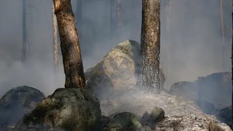 Eftersläckning och efterbevakning av skogsbrand