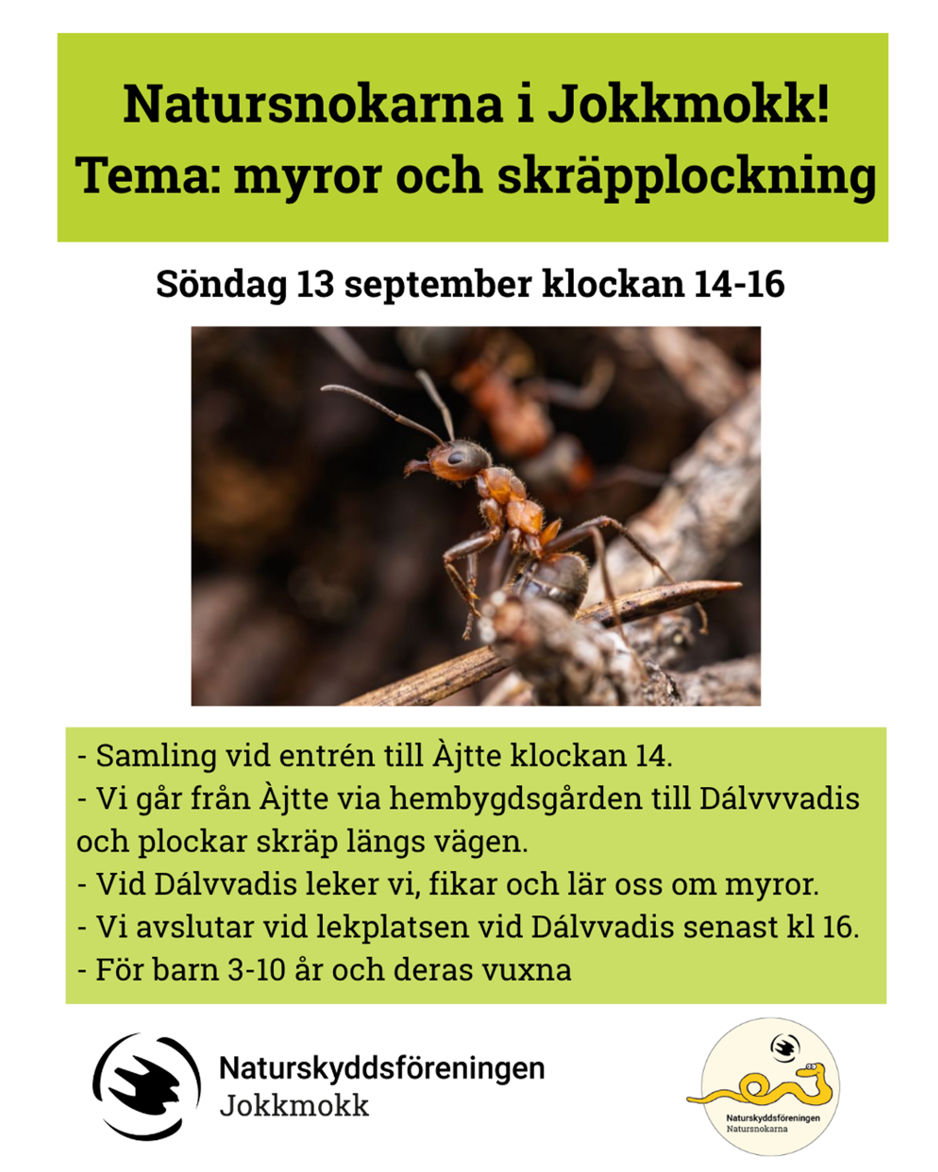 Affisch för Natursnokarna tema myror och skräpplockning