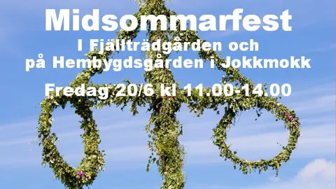 Midsommarfest i Jokkmokk