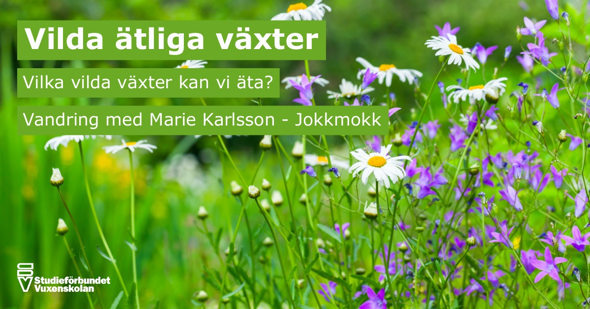 Exkursion och föreläsning: Vilda ätliga växter