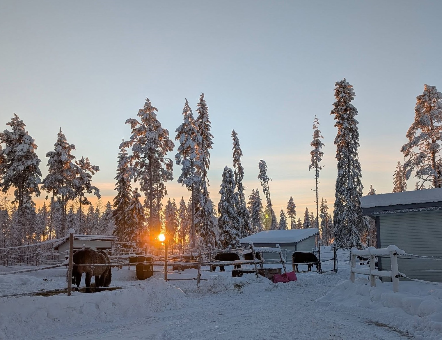 Sportlov: Ridläger på Vuollerims ridklubb