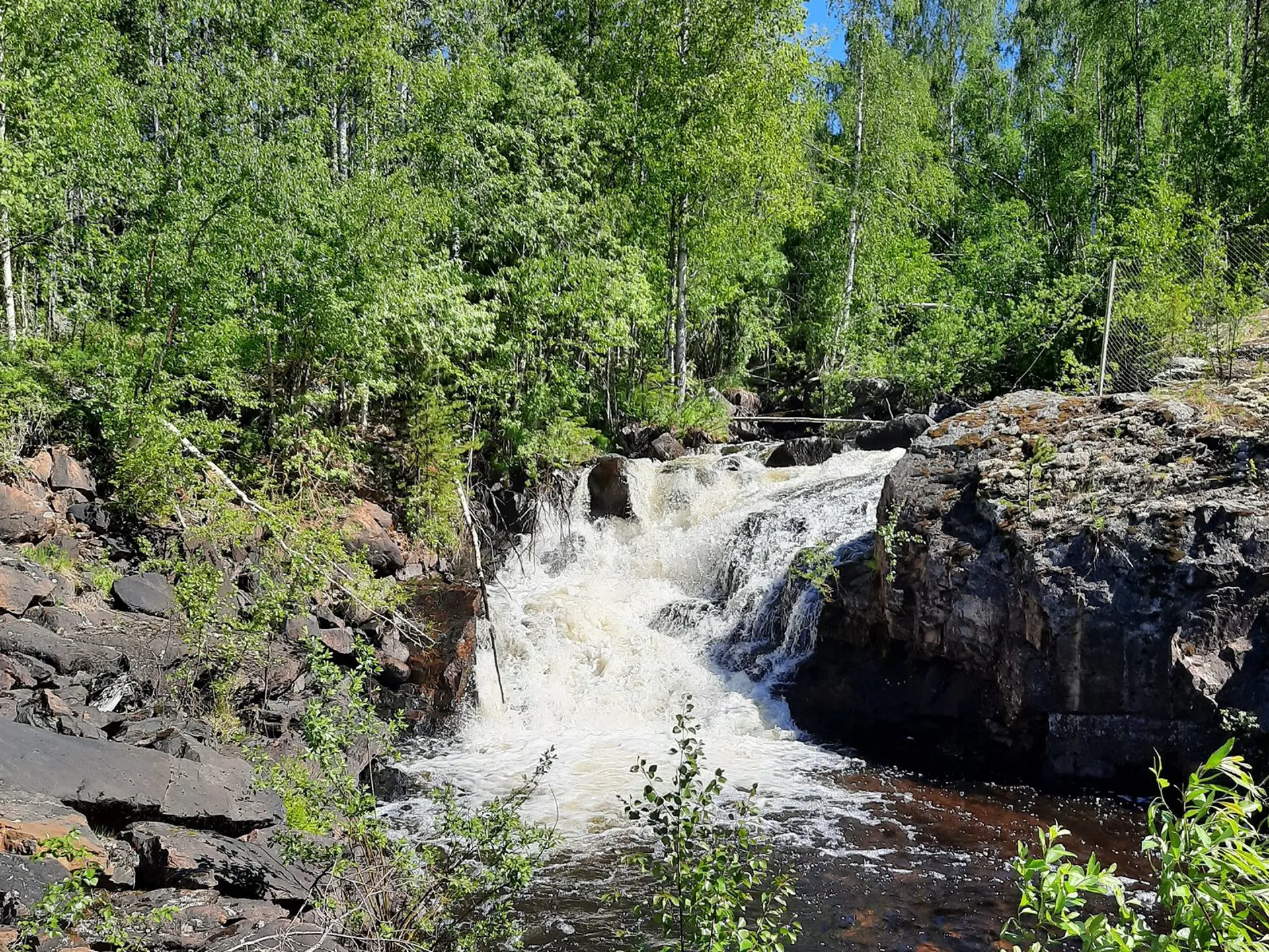 Vy över Kaltisbäcken