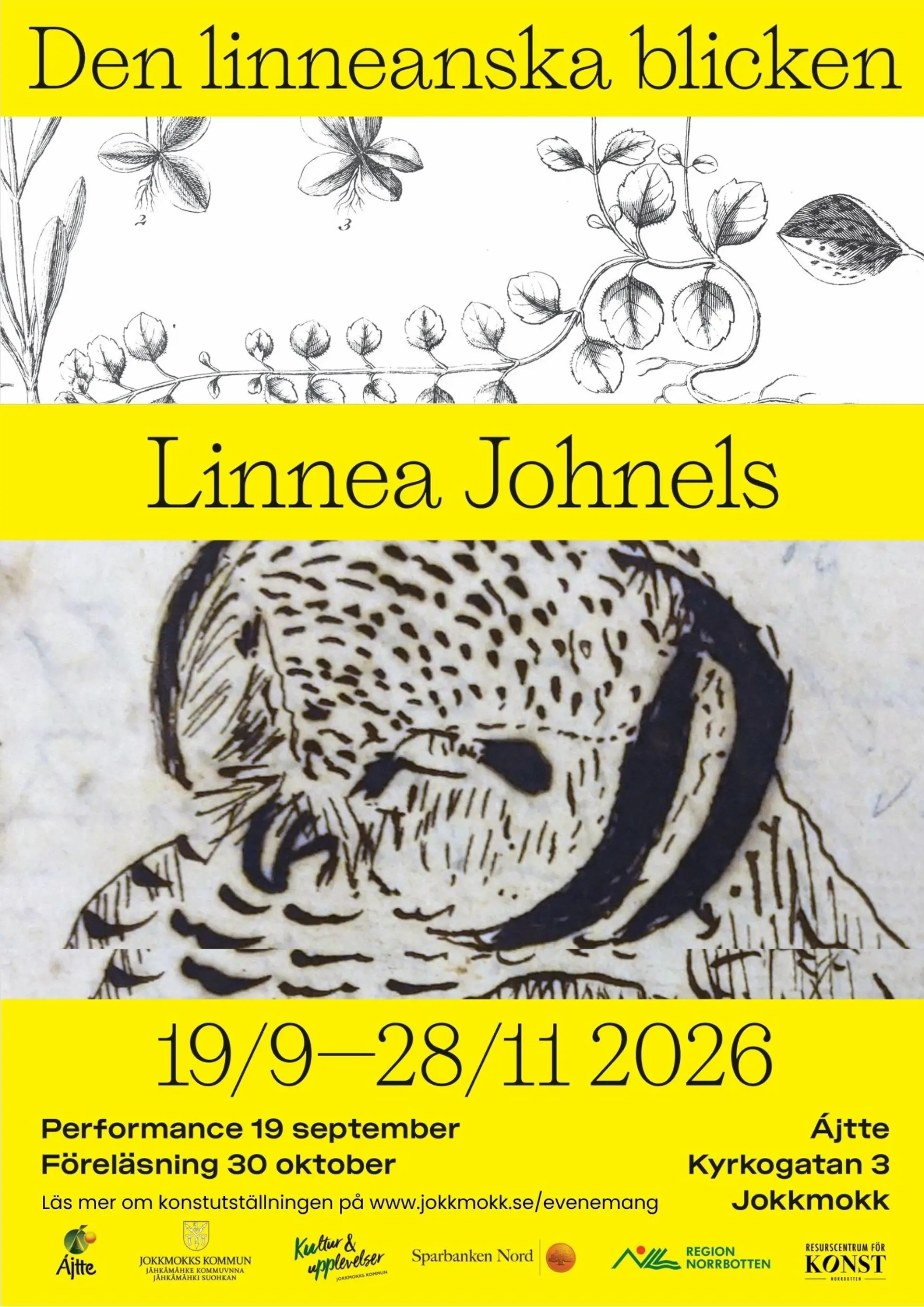 Annons Jokkmokksscenen om utställningen Den linneanska blicken