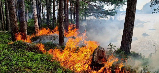 Planerad naturvårdsbränning i Jokkmokks kommun