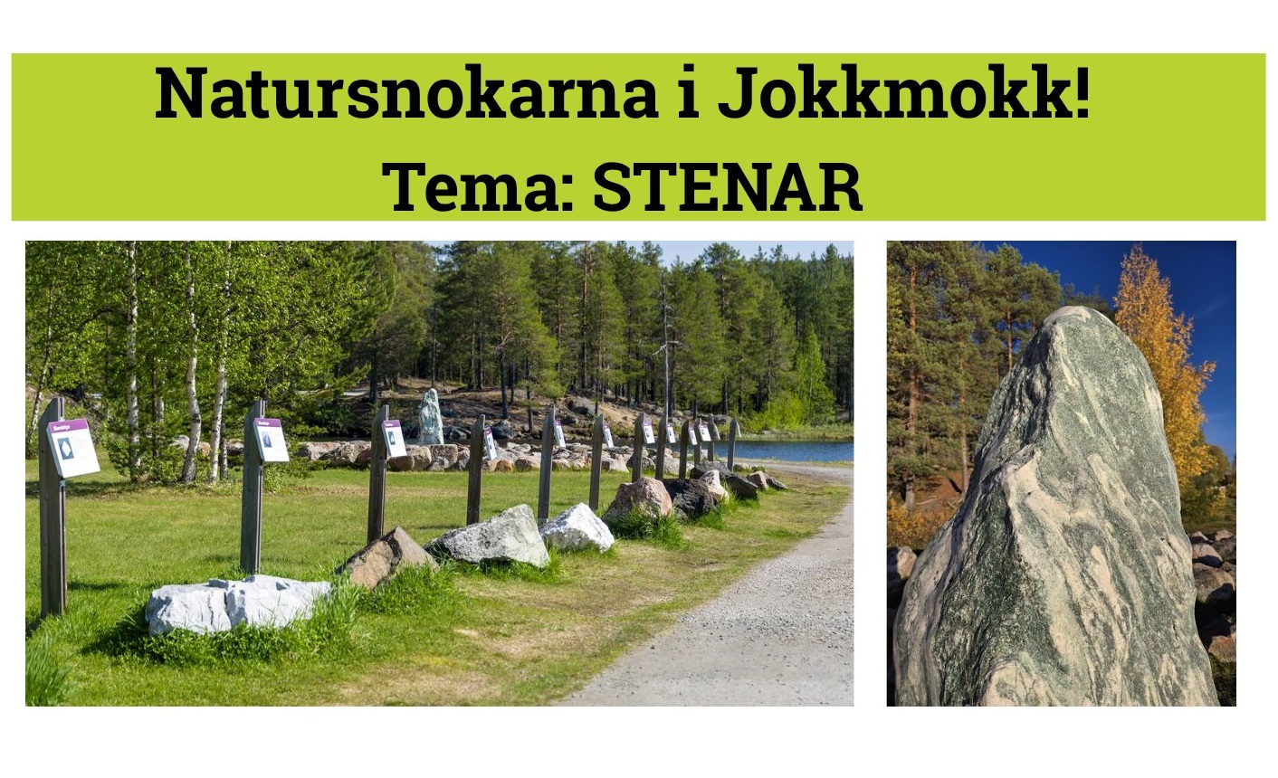 Natursnokarna i Jokkmokk  - Tema stenar
