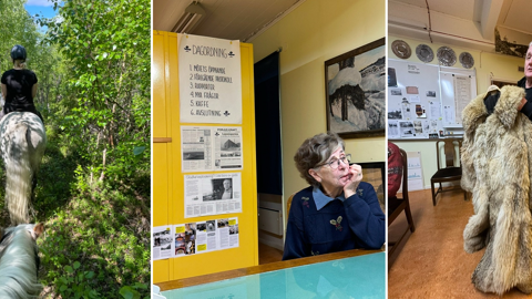 Årets kultur- och idrottsstipendiater är utsedda