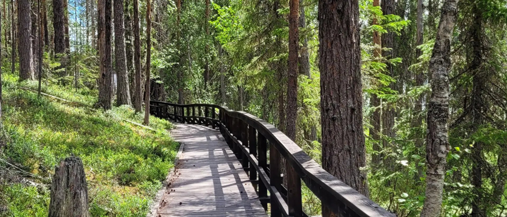 Sierre naturreservat