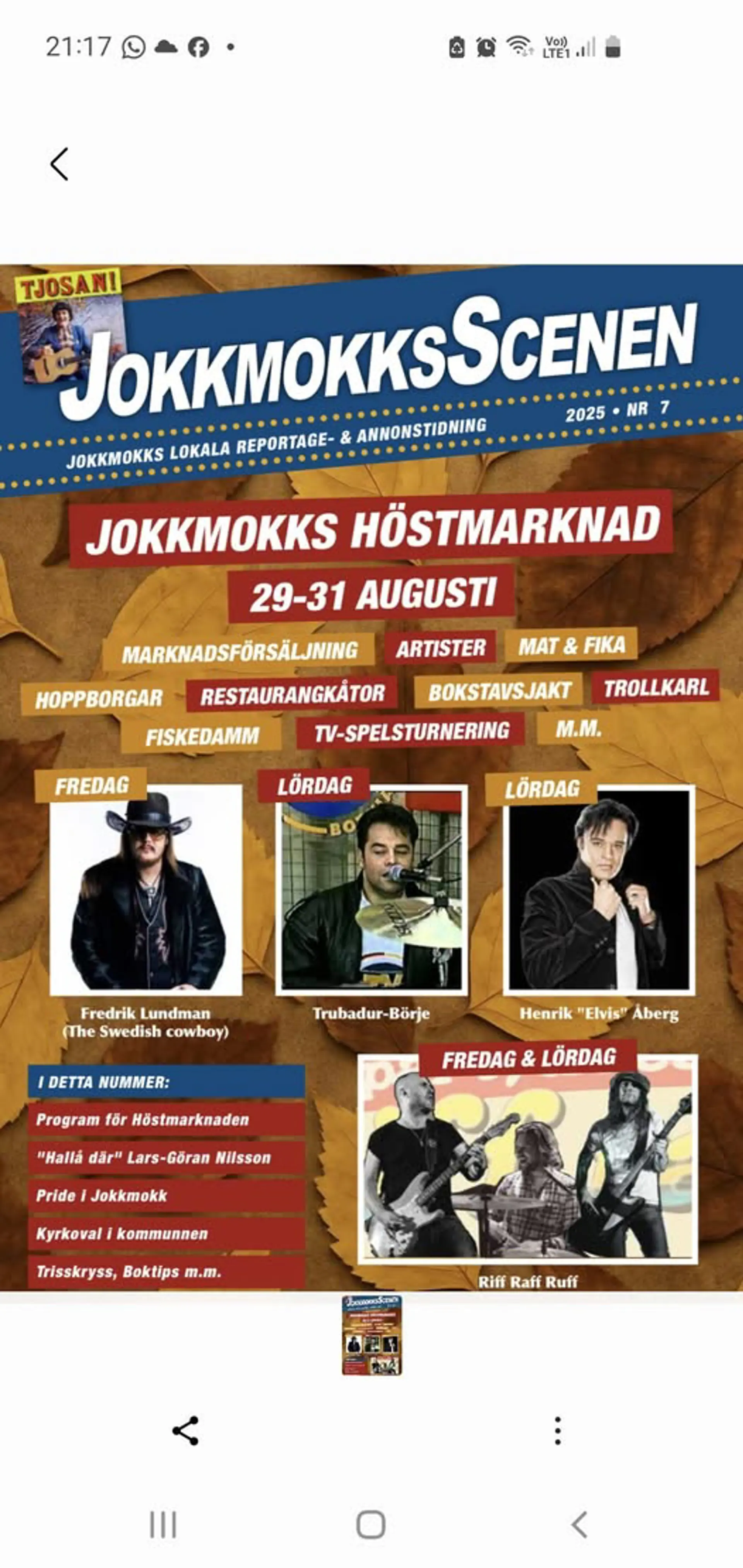 Annons med höstmarknadens artister