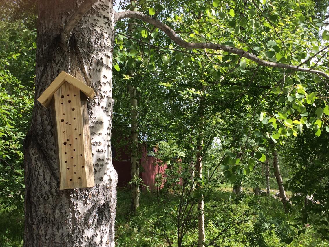 Sommartips till dig som är ledig