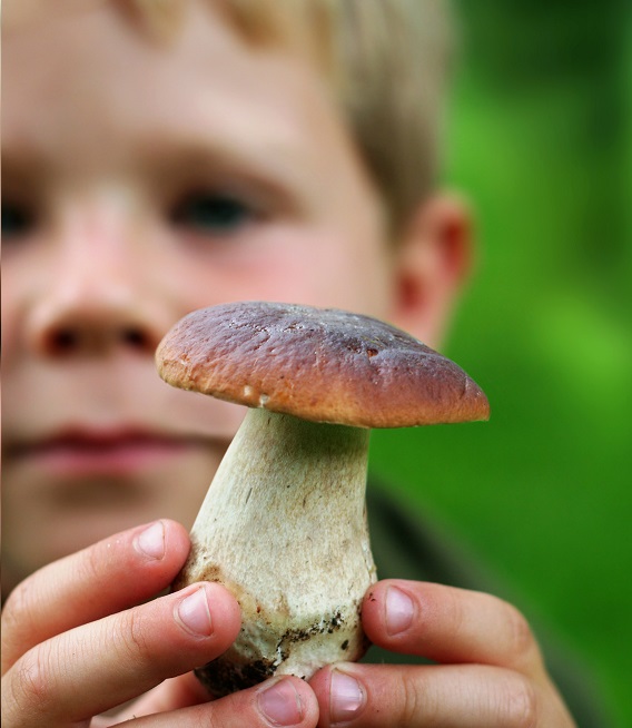Skolstart i Jokkmokks kommun