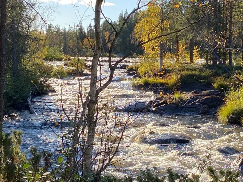 Guidad vandring längs vackra Pärlälven