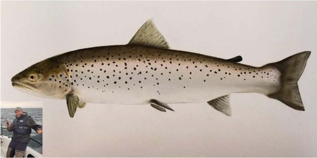Fiskesamordnarens hälsning: tyck till om fisket i kommunen