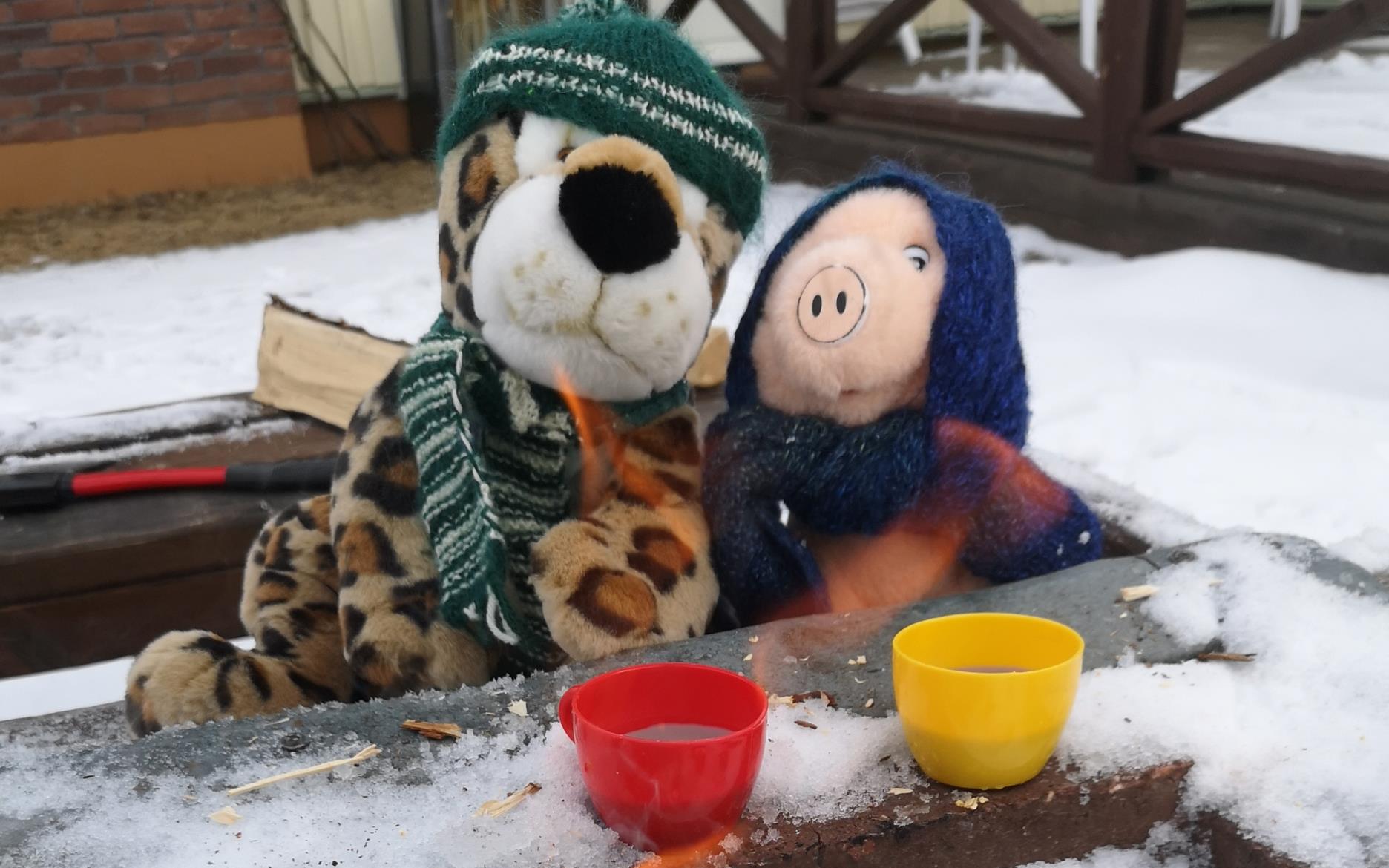 Sportlovskul med utelek och korvgrillning