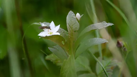 Naturens Dag lördag 24 maj