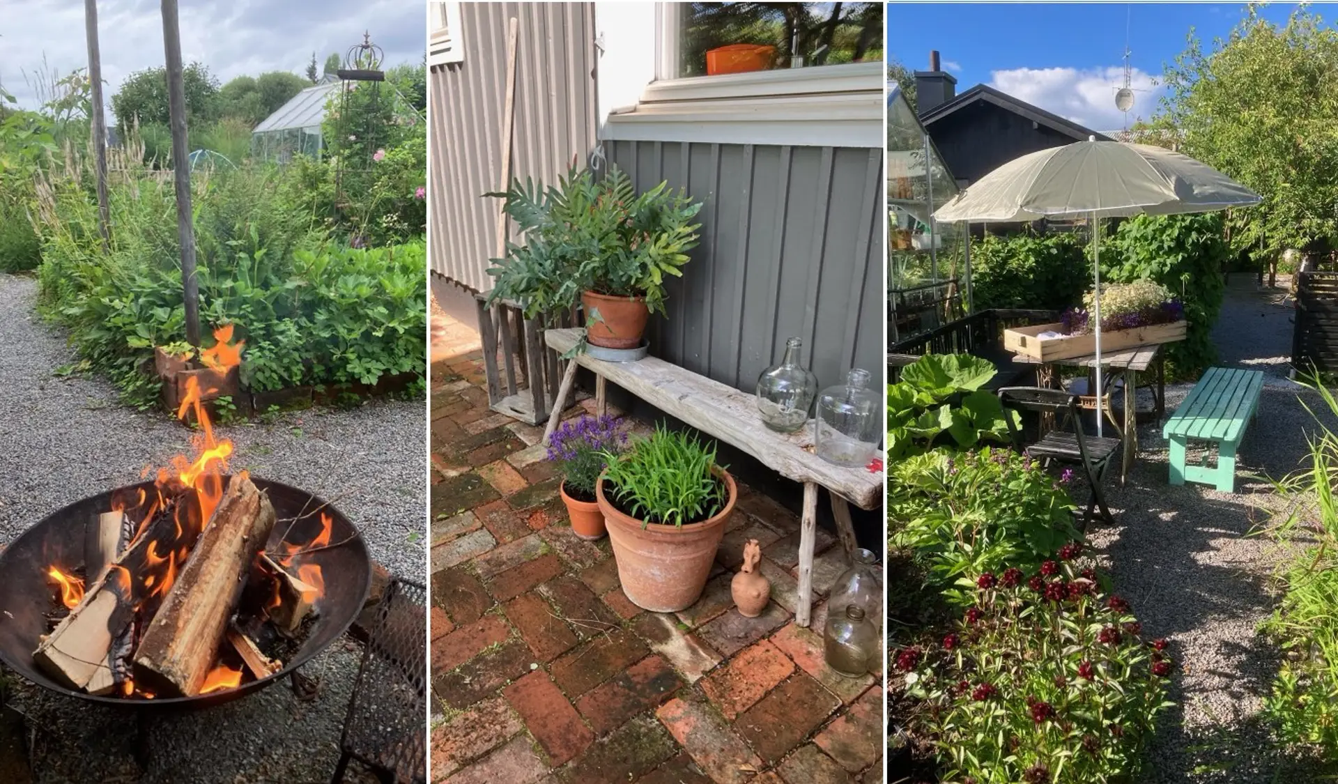 Bilder ur Ann Enbergs trädgård ur tre olika vinklar