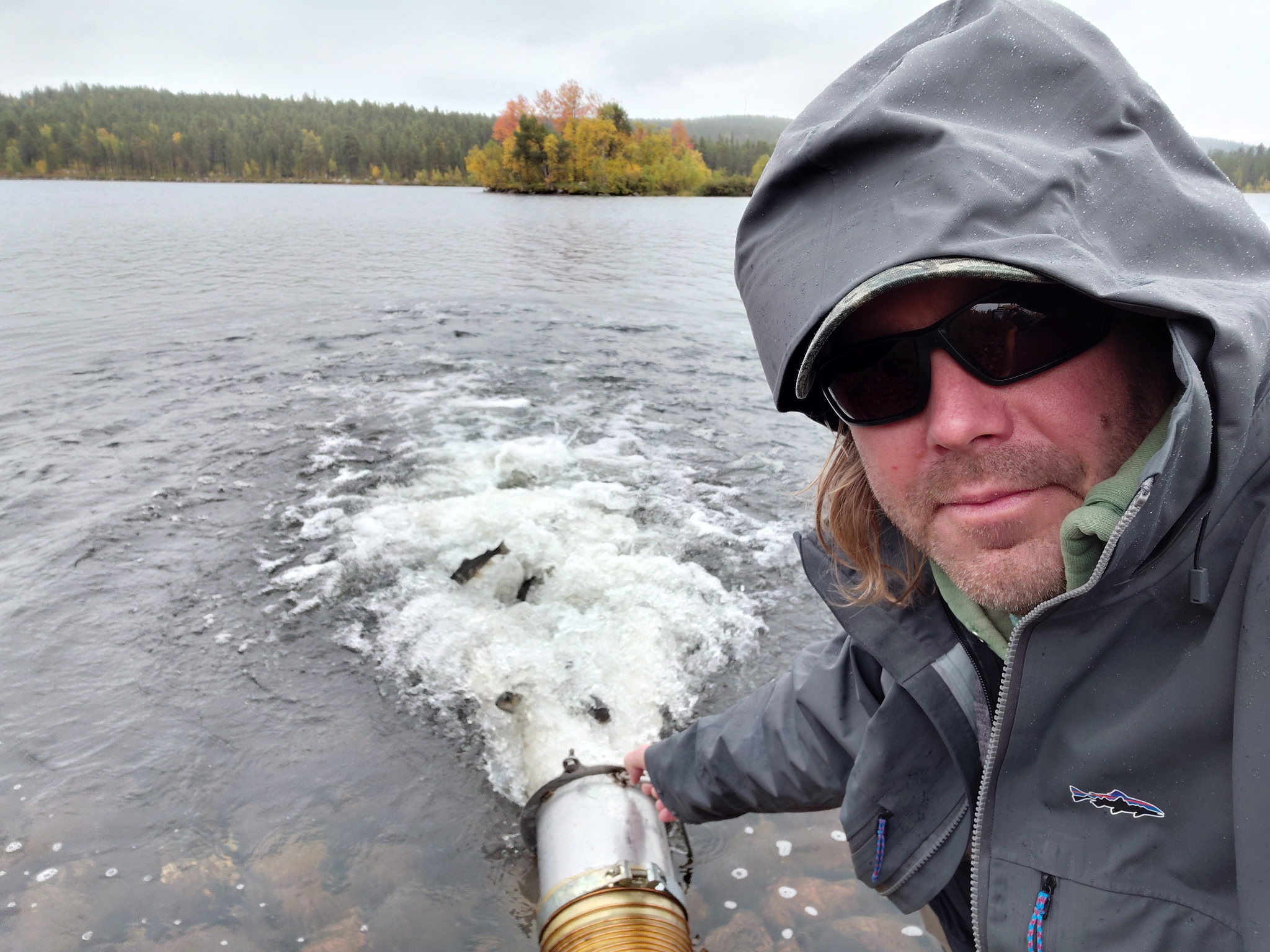 Mer öring för framtidens fiske