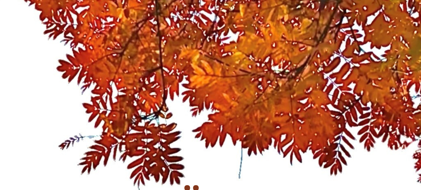 Folkhälsohelg i Jokkmokk 24-25 oktober