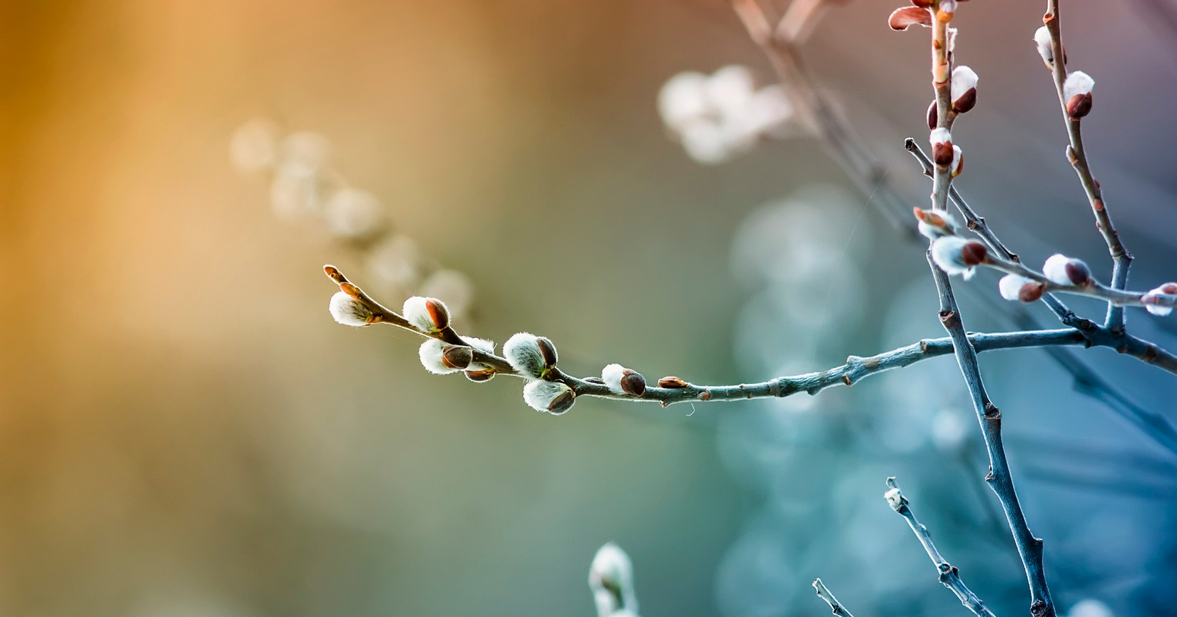 Ändrade öppettider vecka 18